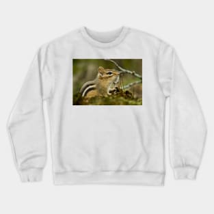 Chipmunk Crewneck Sweatshirt